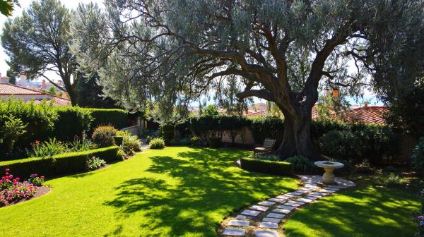 Améliorez votre jardin à Marseille avec un paysagiste expert